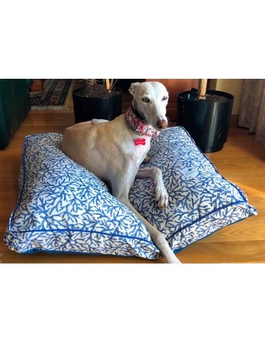 Cama especial para galgo
