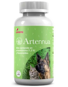 artennua