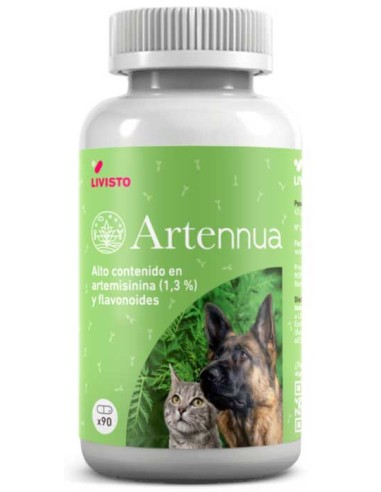 artennua