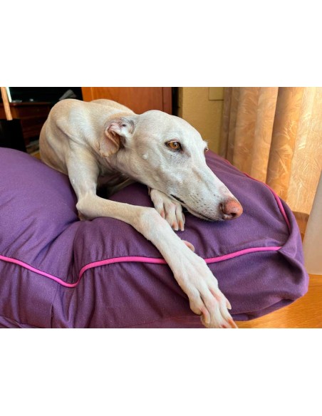 Cama especial para galgo