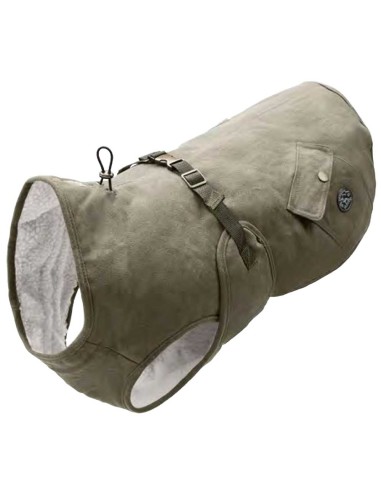 abrigo-perro-hunter