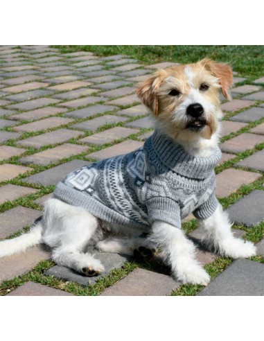 jersey-perro-lana-gris