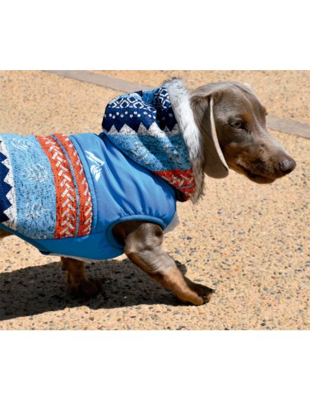 chaqueta-punto-perro