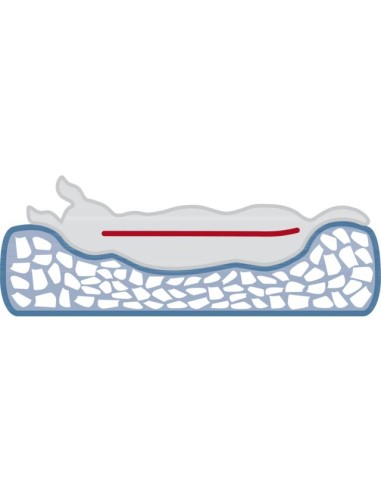 cama-perro-vital-loki cama-perro-vital-loki