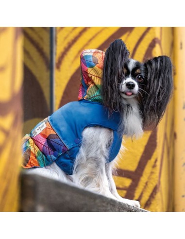 chaqueta-impermeable-perro-croci