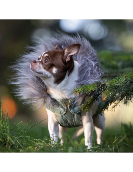 chaqueta-reversible-perro