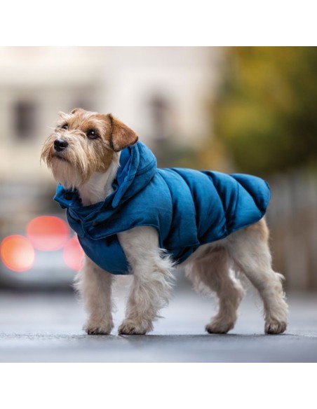 chaqueta-reversible-perro