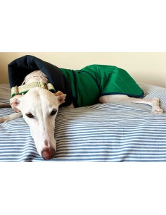 Abrigo impermeable acolchado para galgo verde trebol con forro polar técnico
