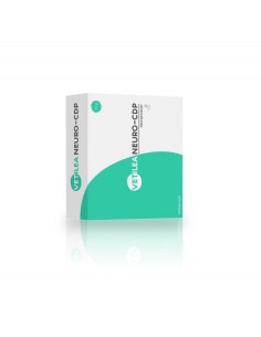 vetilea-neuro-cdp
