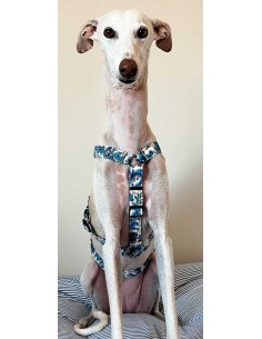 arnes-algodon-antiescape-galgo