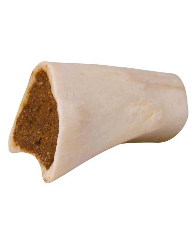 hueso-tibia-relleno