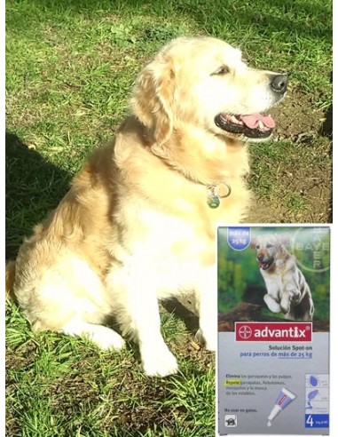 Antiparasitarios para perros - pipeta advantix para perros mayores de 25 Kg