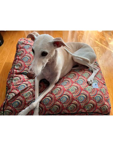 Cama especial para galgo