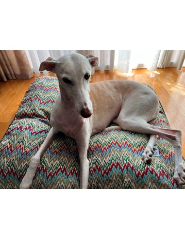 Cama especial para galgo