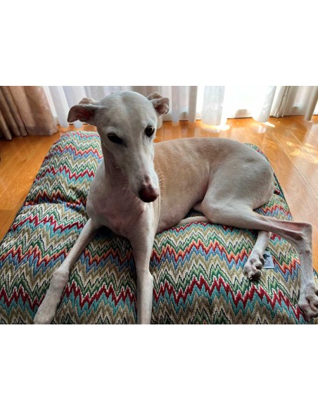 Cama especial para galgo Cama especial para galgo