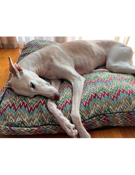 Cama especial para galgo Cama especial para galgo