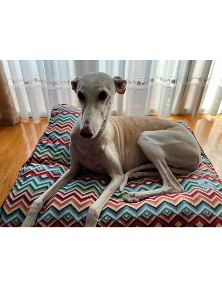 Cama especial para galgo