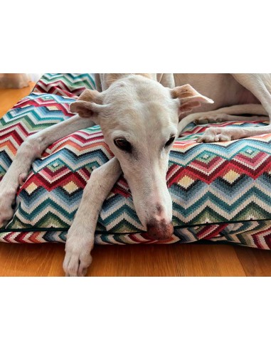 Cama especial para galgo