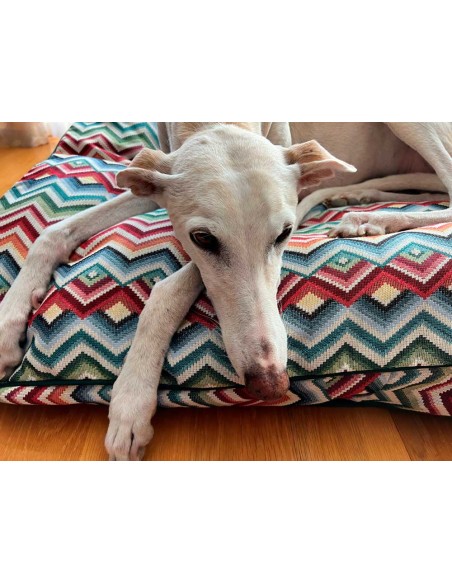 Cama especial para galgo
