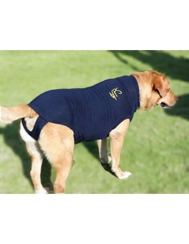 Camiseta protectora para perro