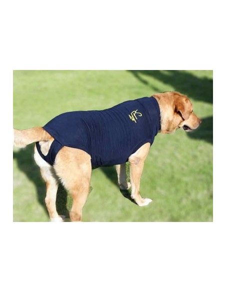 Camiseta protectora para perro