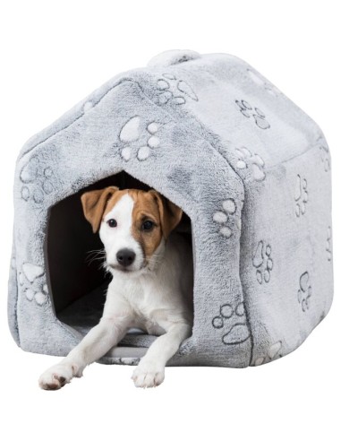 cueva-perro-modelo-nando