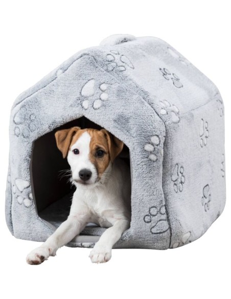 cueva-perro-modelo-nando