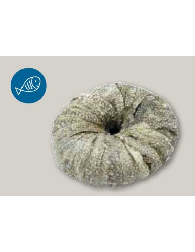 snack-perro-rosquilla-pescado-seco