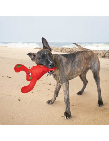 cangrejo-gigante-perro-kong