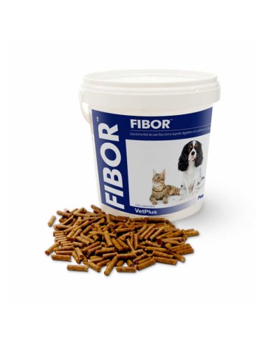 fibor