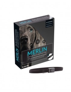 COLLAR PERRO MERLIN