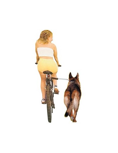 Barra separadora para pasear en bici con su perro