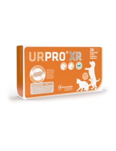 urpro-xr-bicapa
