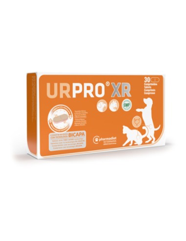 urpro-xr-bicapa