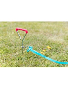 piqueta-perro-exterior