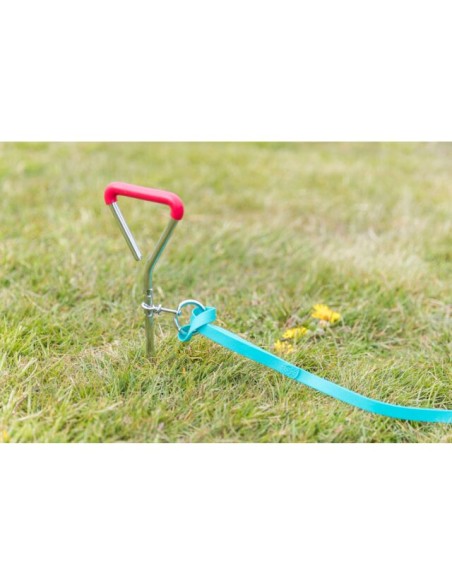 piqueta-perro-exterior