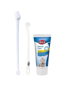 Set dental para gatos