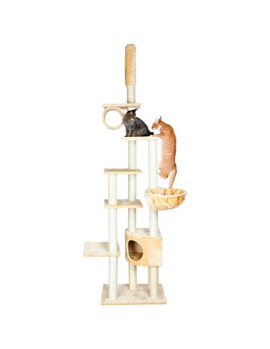 rascador-gato-suelo-techo