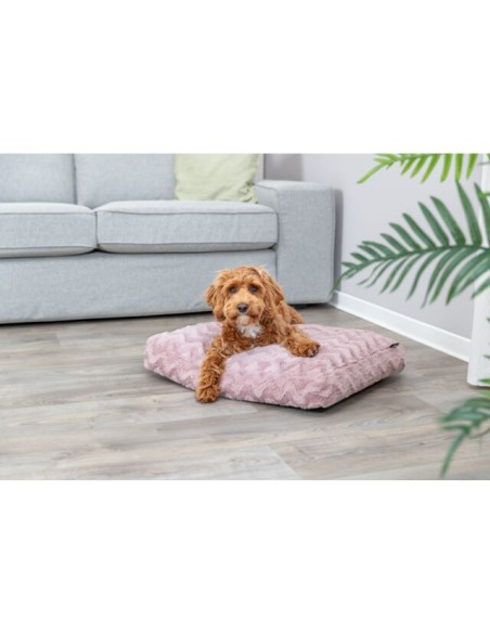 cama-perro-vital-loki