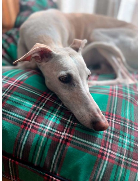 cama-especial-galgo cama-especial-galgo