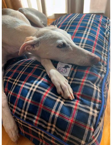 cama-especial-galgo