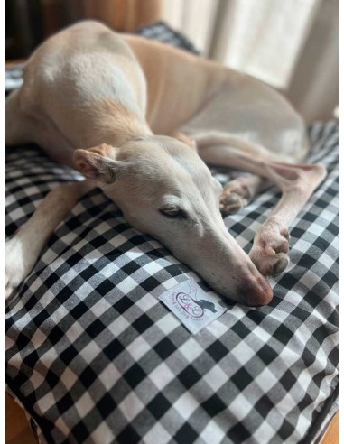 cama-especial-galgo