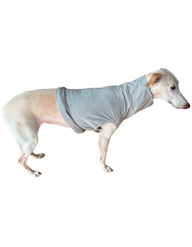 camiseta-protectora-perro camiseta-protectora-perro