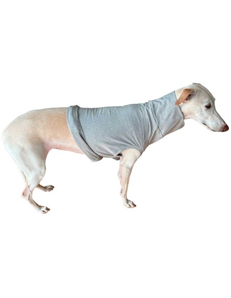 camiseta-protectora-perro camiseta-protectora-perro