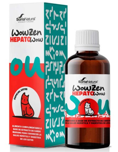 hepatowow-gato