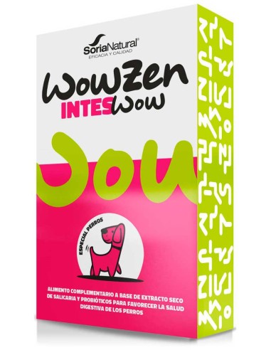 inteswow-perro
