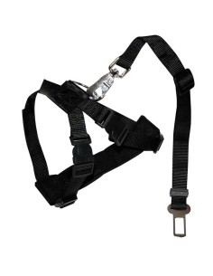 arnes-auto-perro-croci