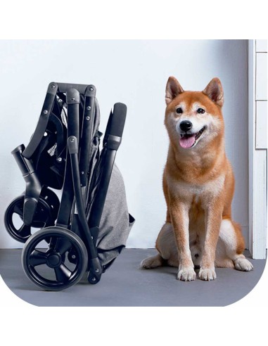 cochecito-paseo-perro