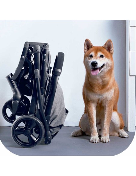 cochecito-paseo-perro