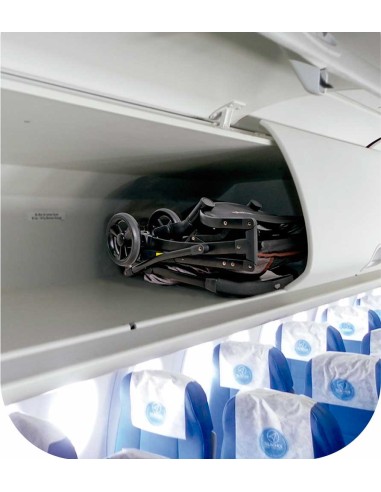 cochecito-paseo-perro